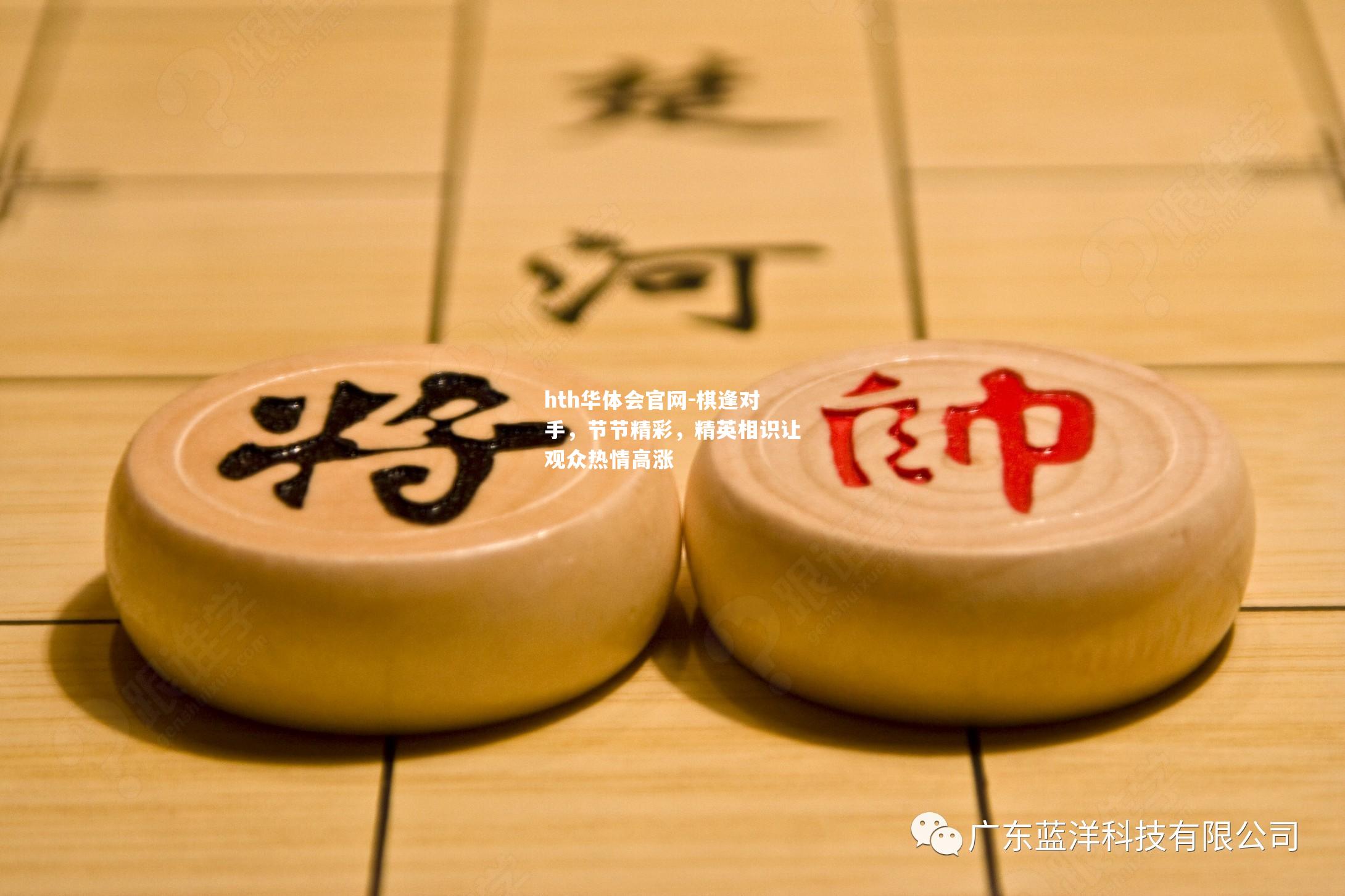 hth华体会官网-棋逢对手，节节精彩，精英相识让观众热情高涨